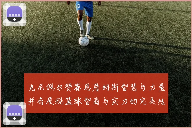 克尼佩尔赞赛恩詹姆斯智慧与力量并存展现篮球智商与实力的完美结合