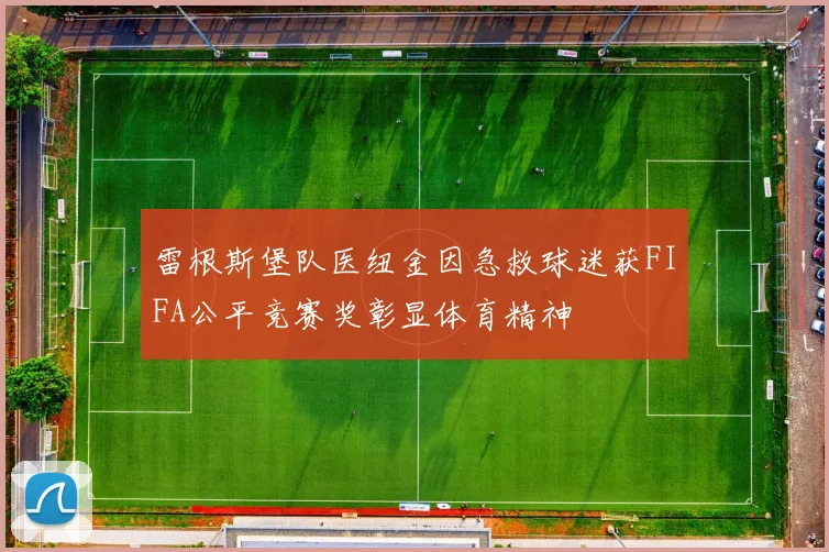 雷根斯堡队医纽金因急救球迷获FIFA公平竞赛奖彰显体育精神